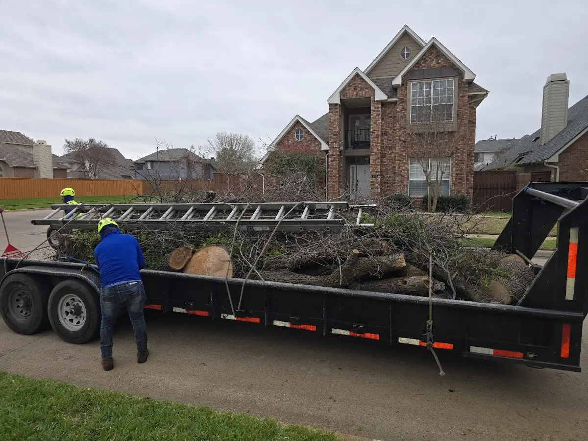 Expert Lot Clearing with proper safety equipment in Denmark